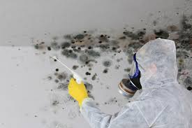 Best Air Quality Testing for Mold Spores  in Herscher, IL